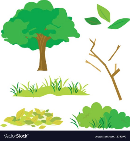 Рисуем деревья и кустарники