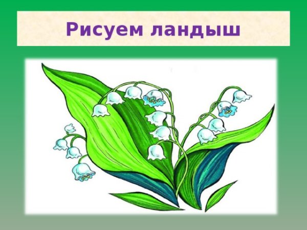 Как нарисовать Ландыш