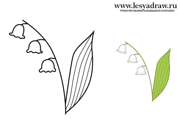 Ландыш рисунок