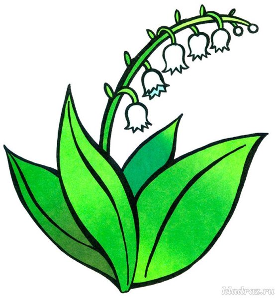 Ландыш для дошкольников