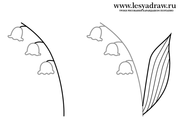 Как нарисовать Ландыш