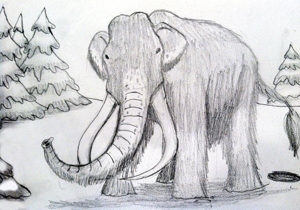 Мамонт карандашом