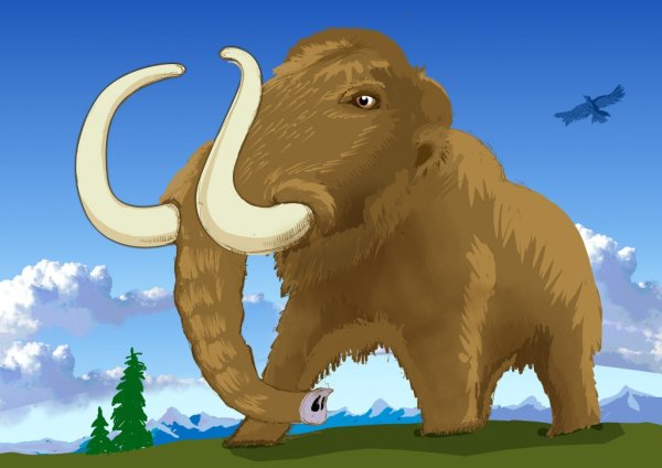 Мамонт раскраска для детей