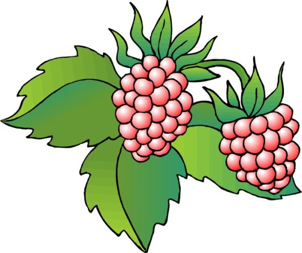 Наталья малина