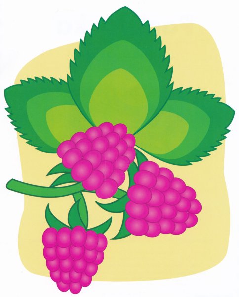 Малина пальчиковая раскраска