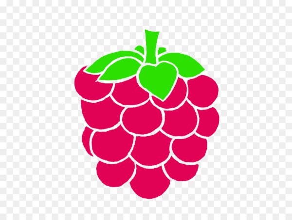 Малина рисунок