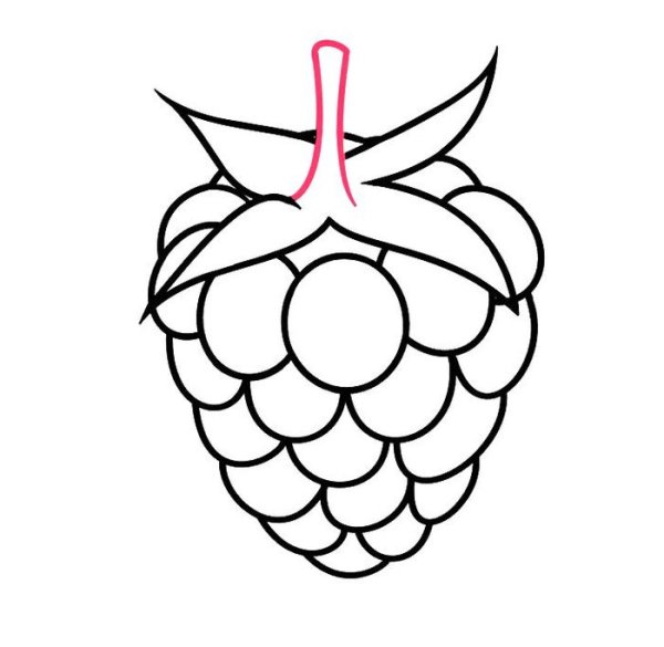 Малина раскраска