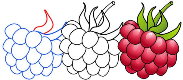 Рисование для детей малина