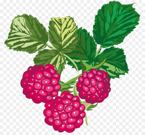 Ягоды мультяшный