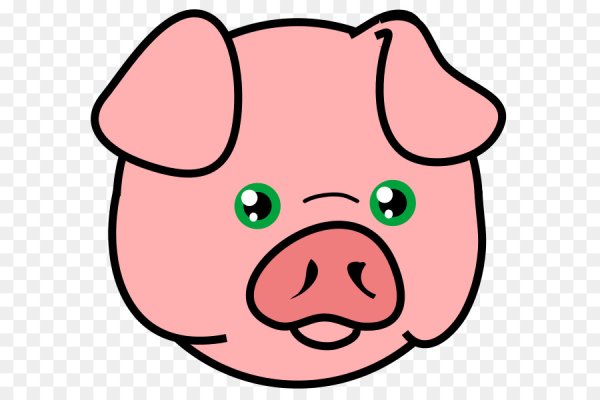 Мордашка поросенка