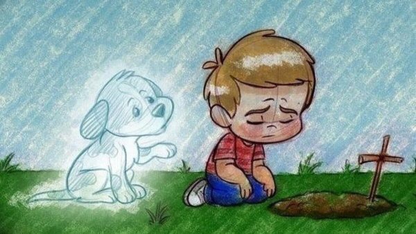Смерть любимой собаки