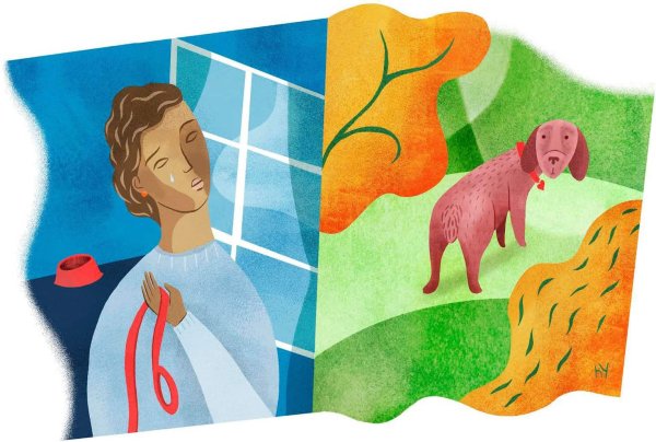 Сопереживание рисунок