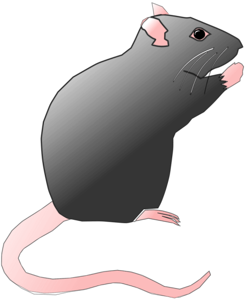 Мультяшная мышь