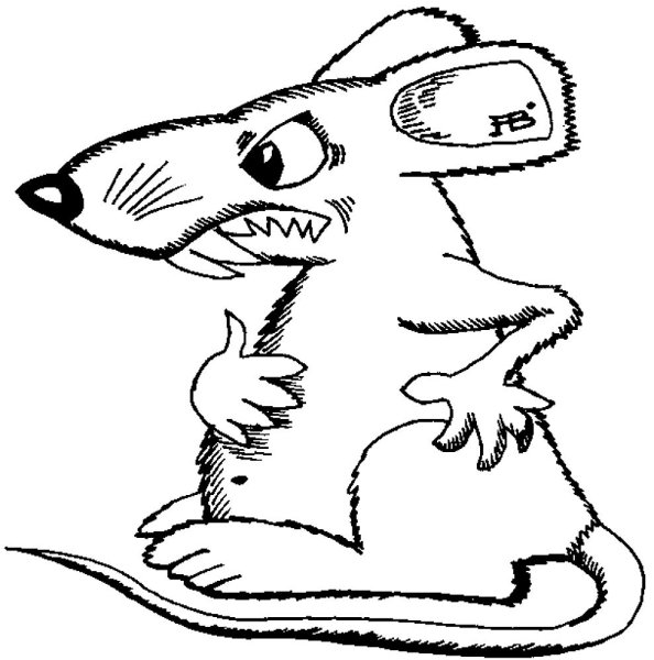 Крыса раскраска