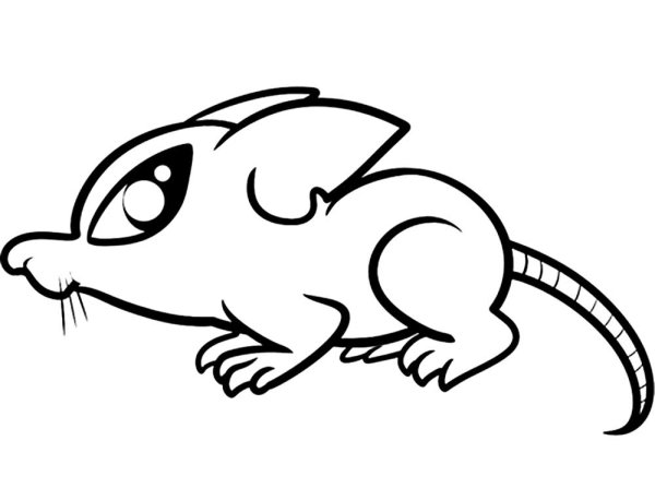 Крыса раскраска