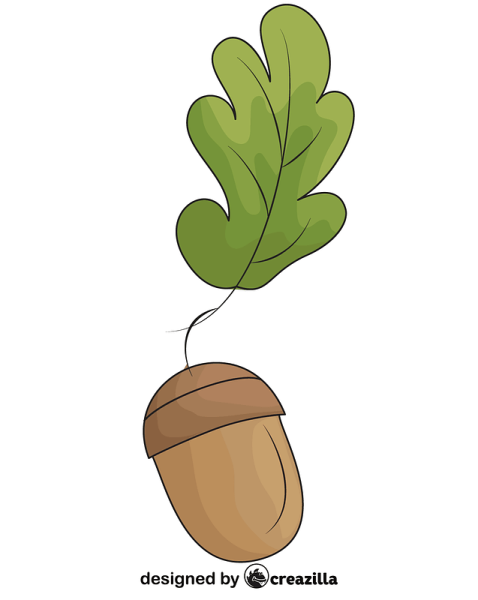 Желудь раскраска для детей