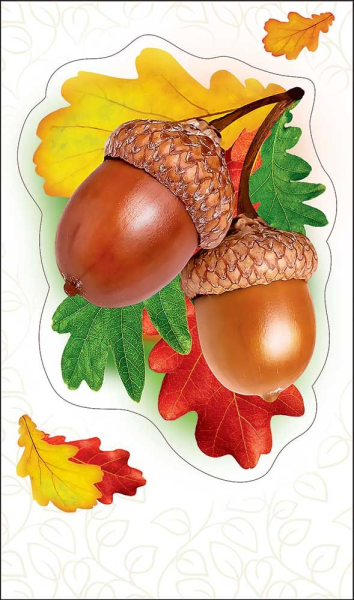 Желудь вектор