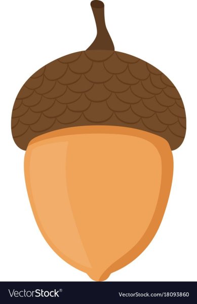 Желудь для детей