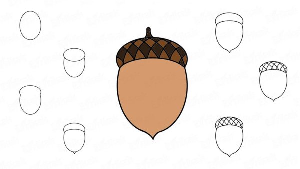 Нарисовать орех