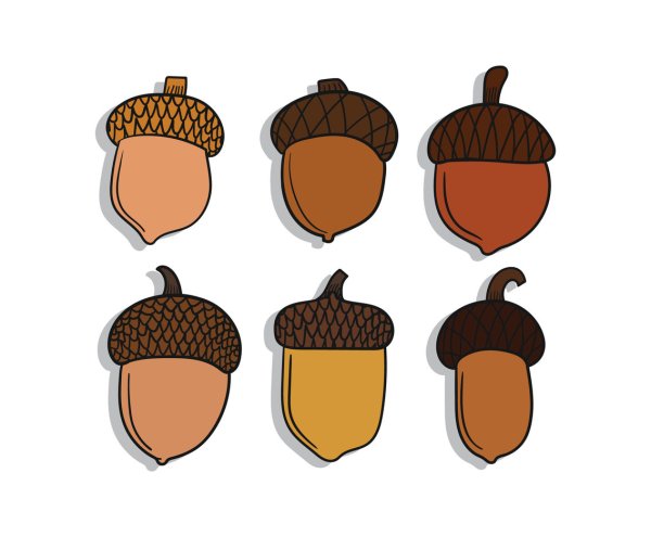 Желуди мультяшные