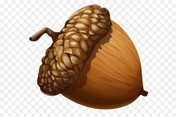 Орех Желудь