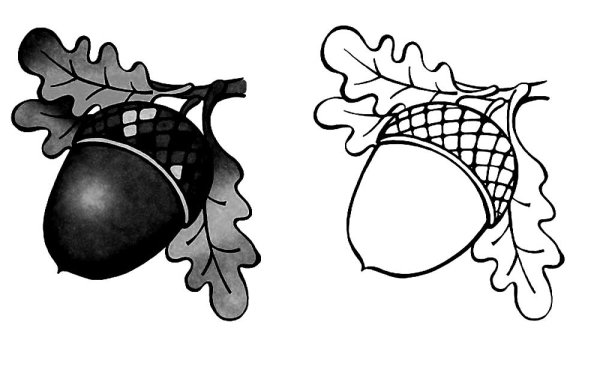 Наклейки на орехи