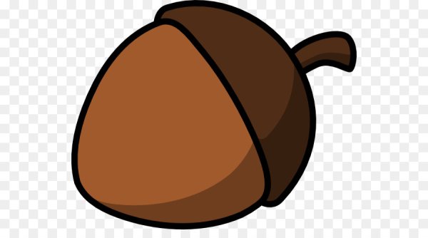 Орех Желудь