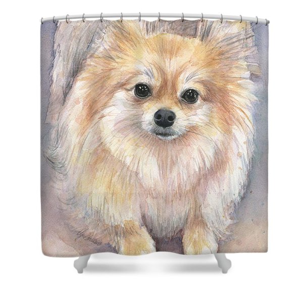 Шпиц акварелью