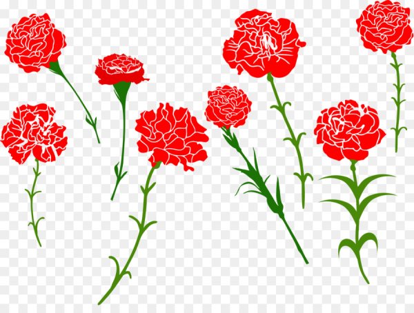 Гвоздика pngи Мак