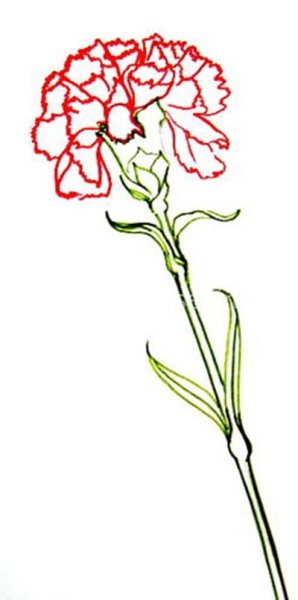 Трафарет гвоздики