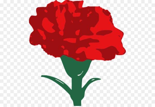 Бархатцы контур