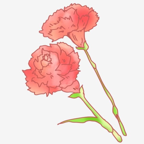 Поэтапное рисование гвоздики для детей