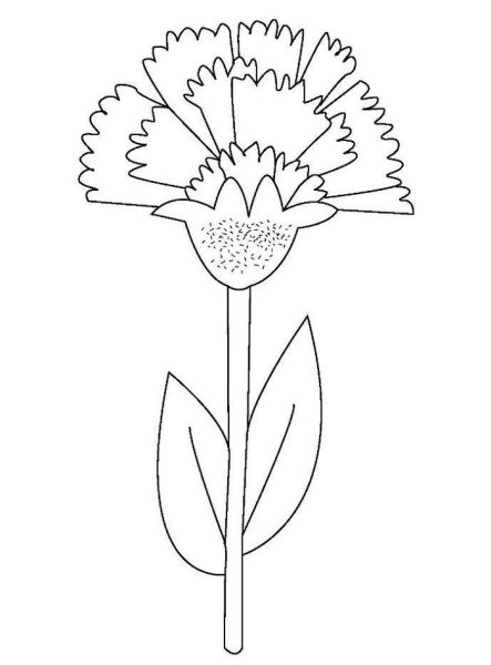 Гвоздики цветные для распечатывания