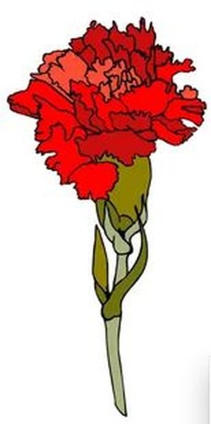 Гвоздики красками