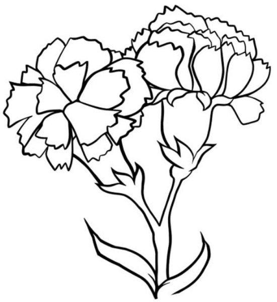 Гвоздика трафарет