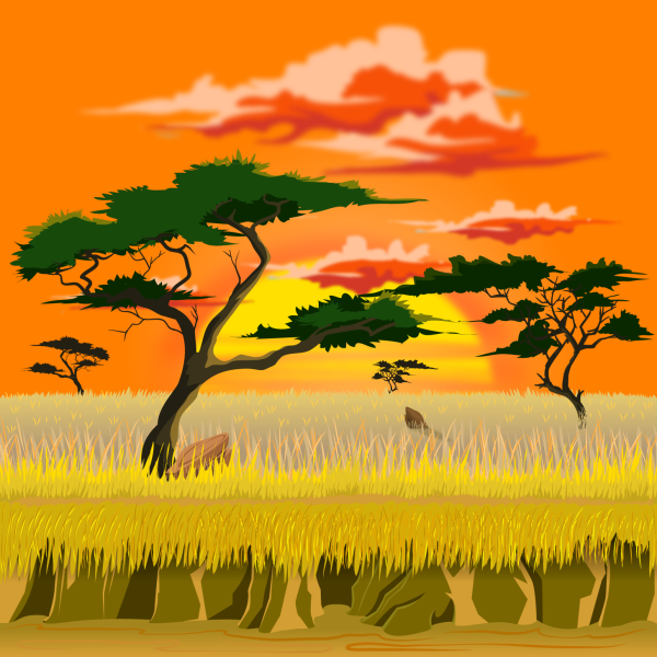 Природа Африки для детей