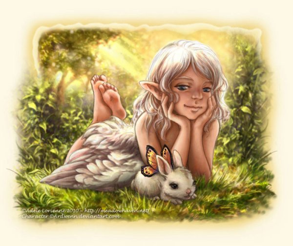 Адель Сесслер ХАЕД