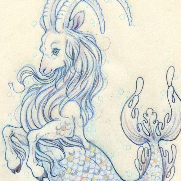 Козерог карандашом