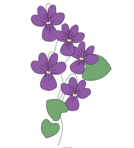 Фиалки мультяшные