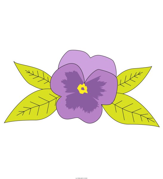 Фиалка для срисовки