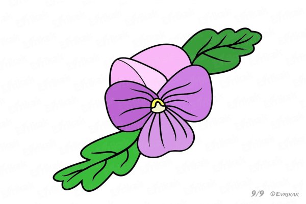 Фиалки мультяшные