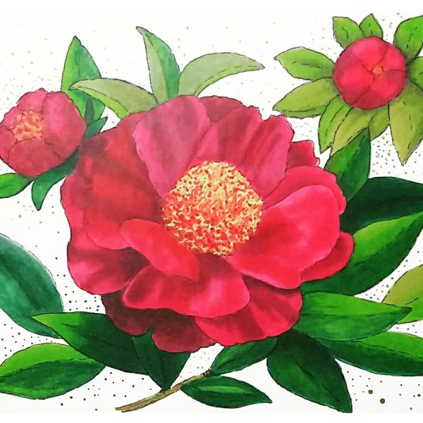 Пион мультяшный