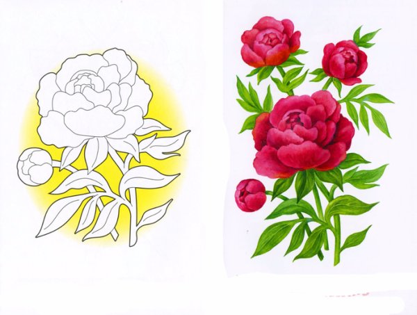 Пион раскраска для детей