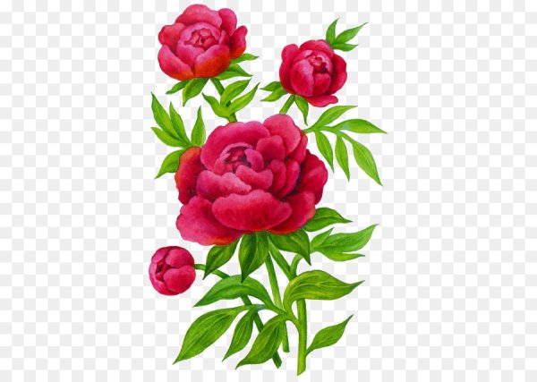 Математические пазлы цветы для дошкольников