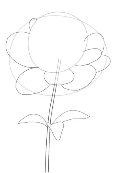 Рисуем пионы поэтапно