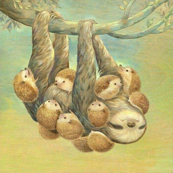 Ленивцы милые мультяшные