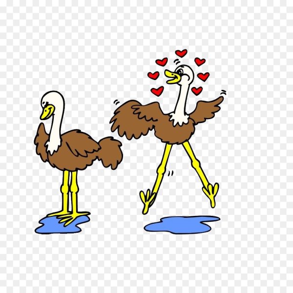 Мультик. Эму. Страус эму мультик