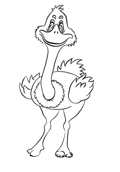 Детские рисунки страуса