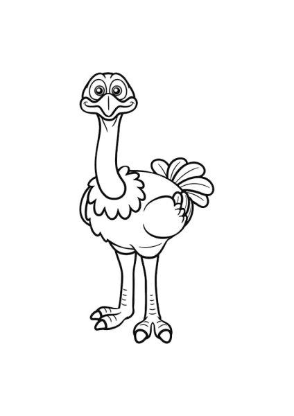 Страус раскраска для детей