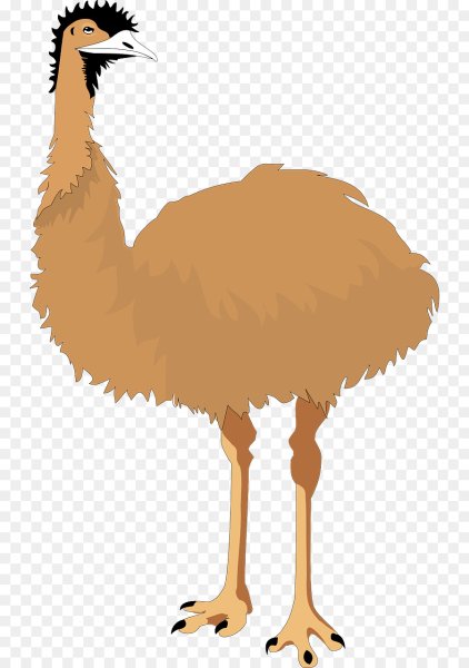 Страус раскраска для детей